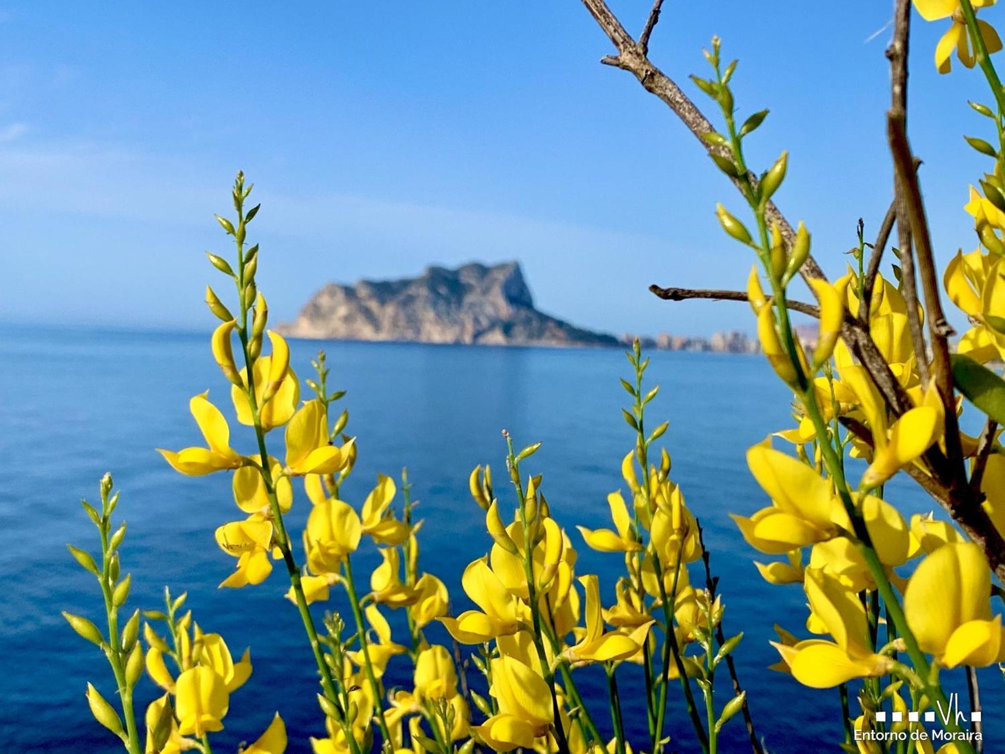 Vh Costablanca - Carmen Βίλα Moraira Εξωτερικό φωτογραφία